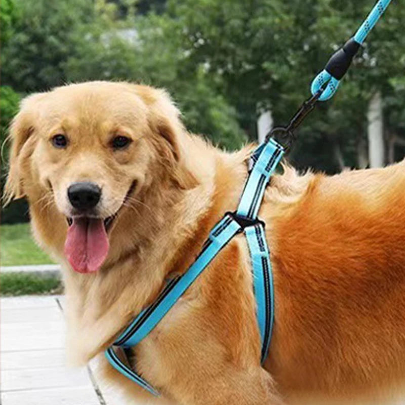 Pet Leash Explosion-proof Charging Dog Leash Reflective Round Leash Dog Chain Dog Leash Handle Leash